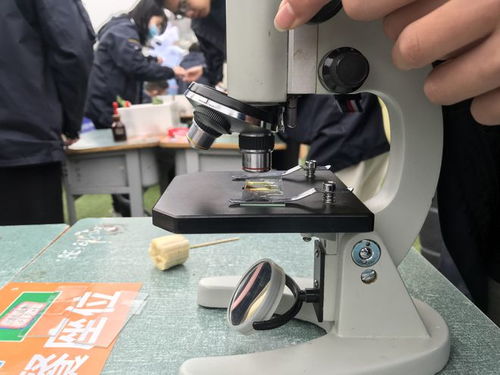 校園科技節(jié)腦力值拉滿，學生玩嗨了！教學模型與教具銷售迎來熱潮